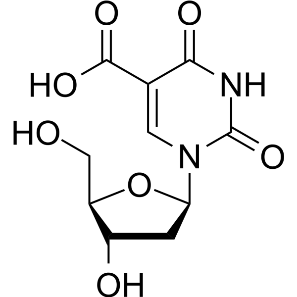 5-Carboxy-2′-deoxyuridine (Standard) 14599-46-3